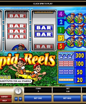 Rapid Reels MCPcom Microgaming