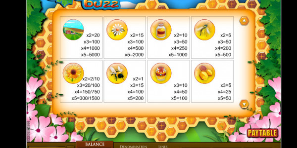 The Bees Buzz MCPcom SkillOnNet pay