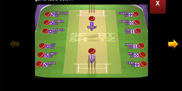 Sport Shotz Cricket MCPcom2