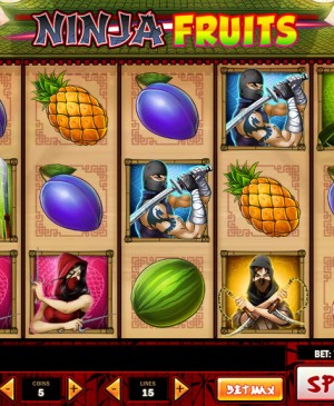 Ninja Fruits MCPcom Play'n GO