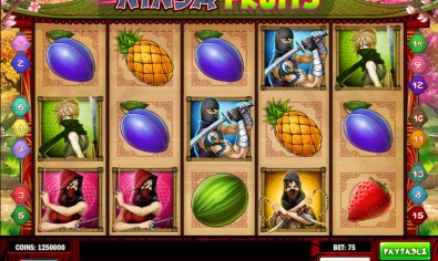 Ninja Fruits MCPcom Play'n GO