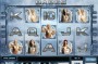 Scandinavian Babes MCPcom Play'n GO