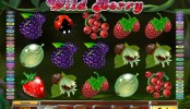 Wild Berry MCPcom Saucify