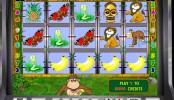 Crazy Monkey MCPcom Igrosoft