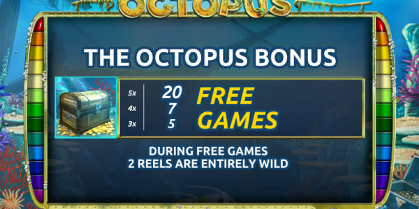 Octopus MCPcom Holland Power Gaming pay2