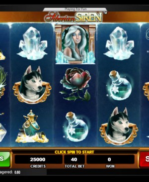 Siberian Siren Video Slots by Amaya