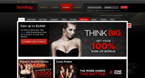 Bodog Casino MCPcom 10