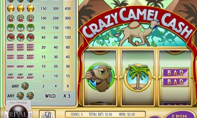 Crazy Camel Cash MCPcom Rival